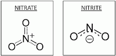 Nitrates and nitrites